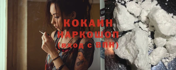 шишки Баксан