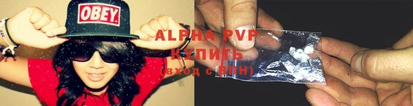 шишки Баксан